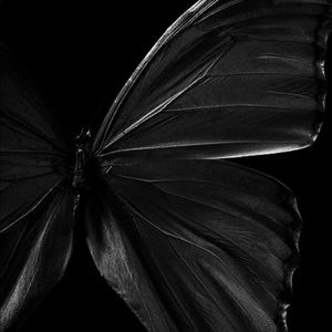 Meet your Posher, Tanaka